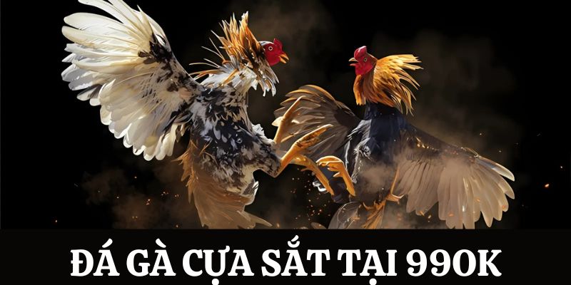 Đá gà cựa sắt