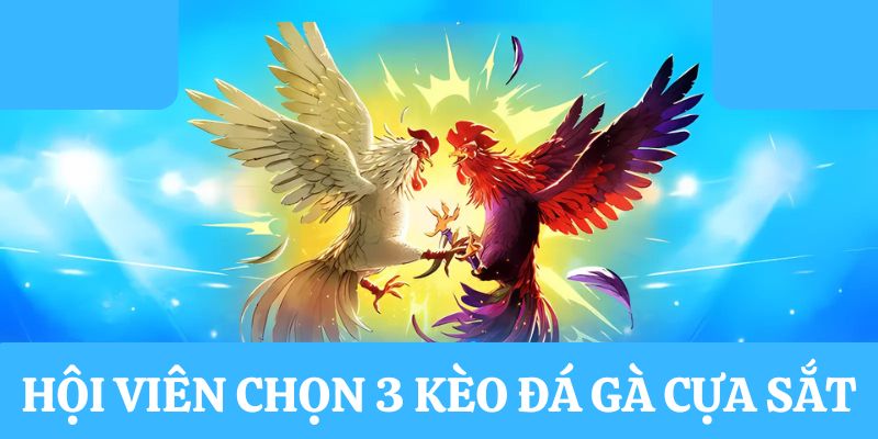 Người chơi lựa chọn 3 kèo đá gà cựa sắt